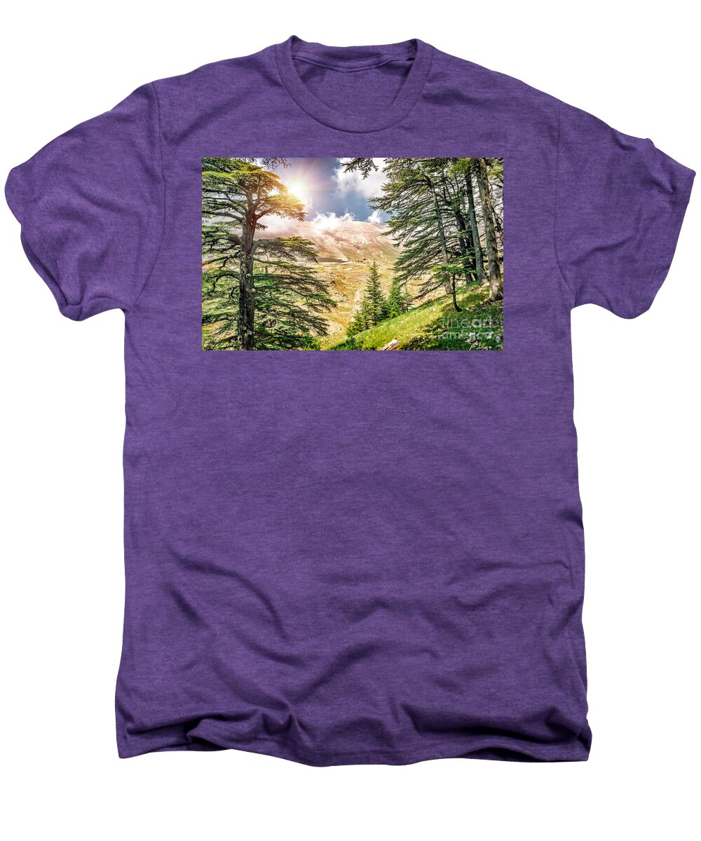 Ceders Libani Men's Premium T-Shirt featuring the photograph Cedars of Lebanon #3 by Anna Om