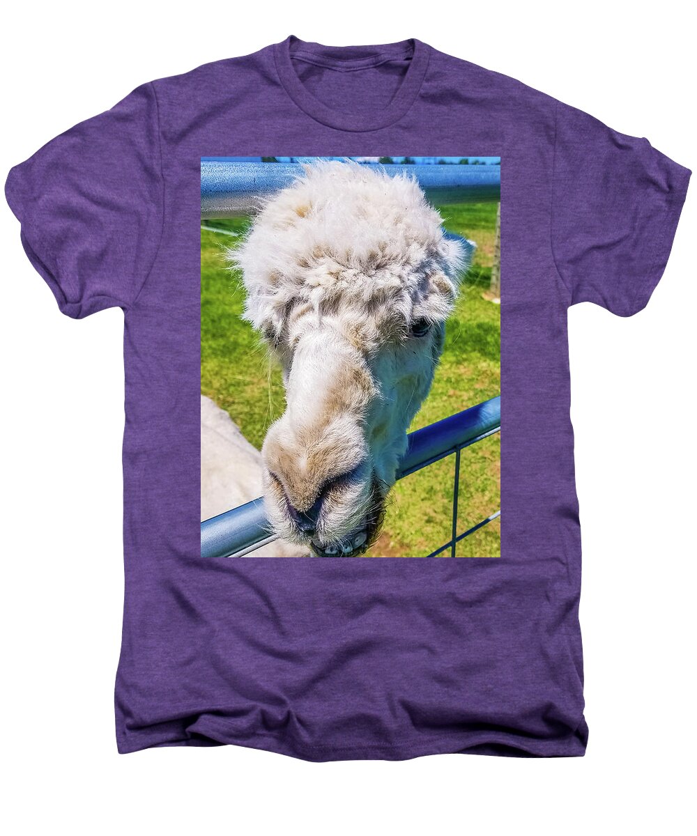 Alpaca Men's Premium T-Shirt featuring the photograph Alpaca Yeah by Jonny D