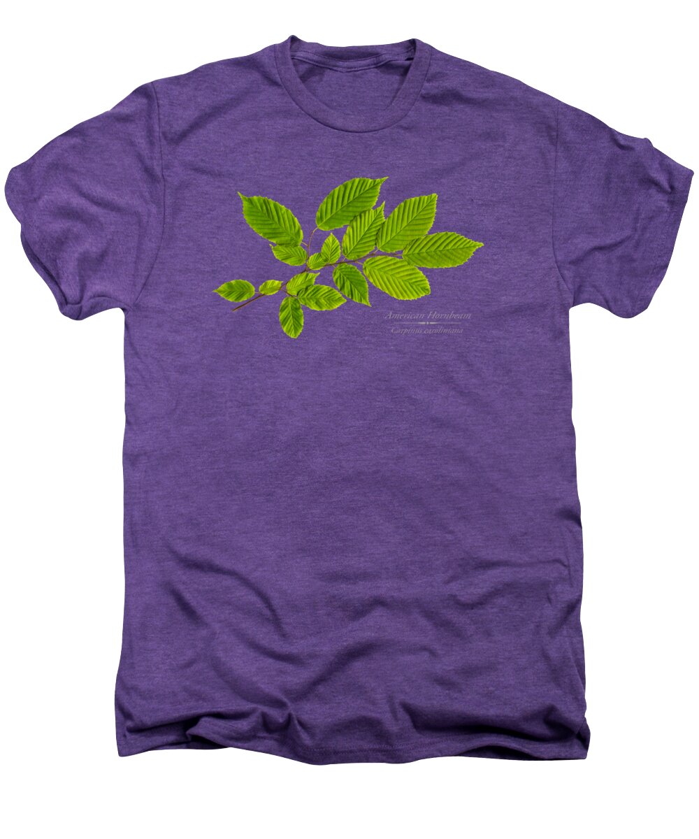 Tree Men's Premium T-Shirt featuring the photograph American Hornbeam by Christina Rollo