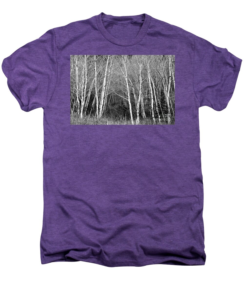 Aspen Men's Premium T-Shirt featuring the photograph Aspen Forest Black and White Print by James BO Insogna