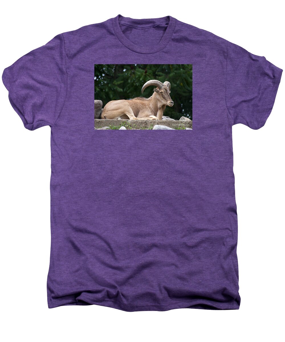 Auodad Men's Premium T-Shirt featuring the photograph Auodad 20120714_80a by Tina Hopkins