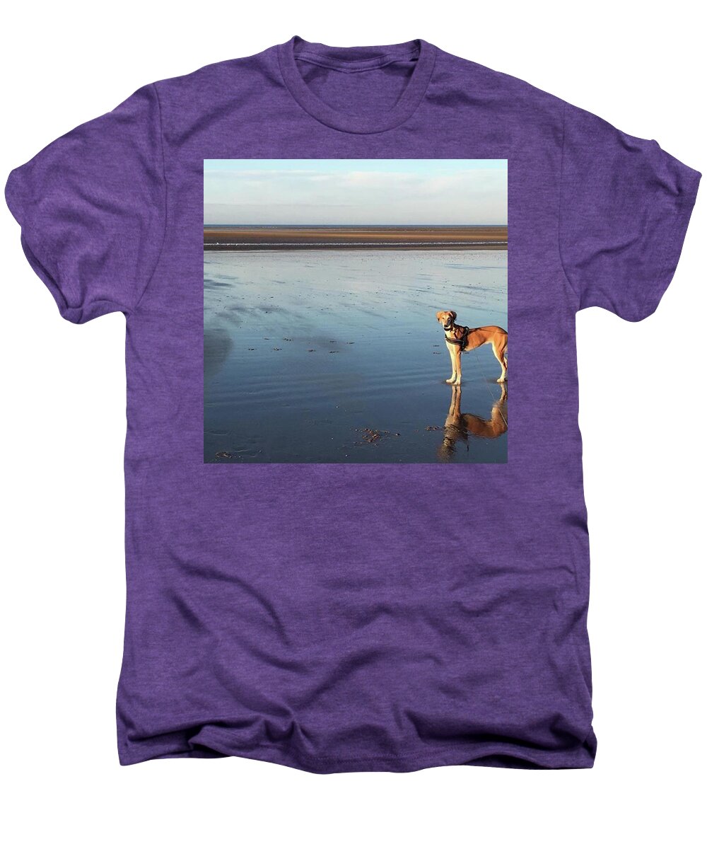 Dogsofinstagram Men's Premium T-Shirt featuring the photograph Ava's Last Walk On Brancaster Beach by John Edwards