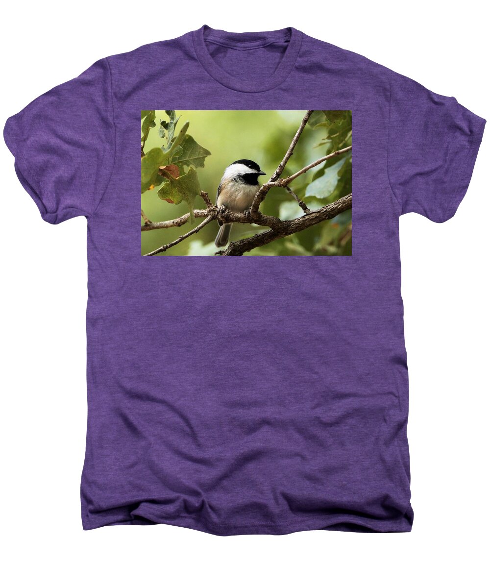 Nature Men's Premium T-Shirt featuring the photograph Black Capped Chickadee on Branch by Sheila Brown