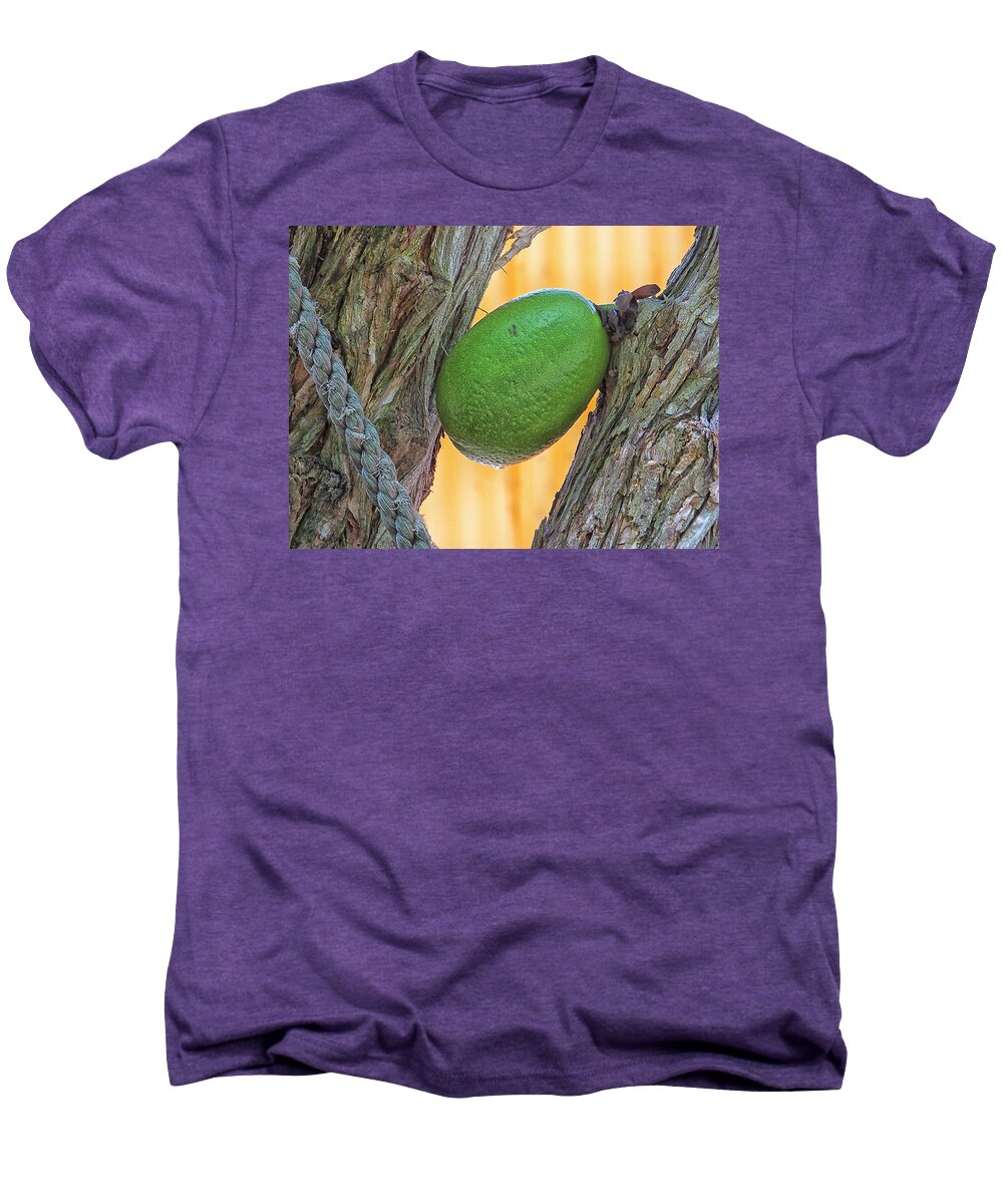 Calabash Men's Premium T-Shirt featuring the photograph Calabash Fruit by Bill Barber