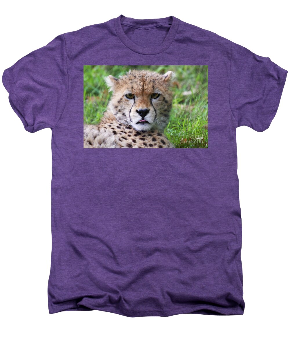 Photography Men's Premium T-Shirt featuring the photograph Cheetah by MGL Meiklejohn Graphics Licensing