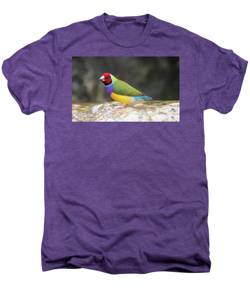 Florida Men's Premium T-Shirt featuring the photograph Colorful Lady Gulian Finch by Penny Lisowski