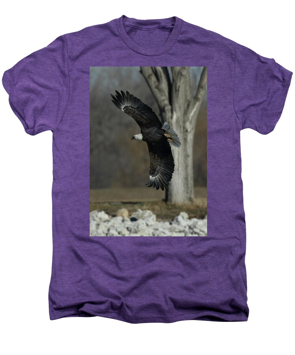 Eagle Men's Premium T-Shirt featuring the photograph Eagle Soaring by Tree by Coby Cooper