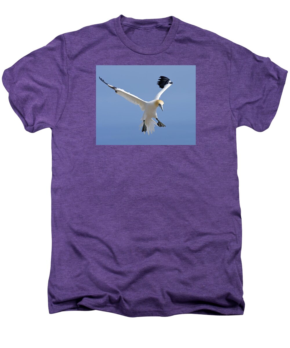 Northern Gannet Men's Premium T-Shirt featuring the photograph Expanding Surface by Tony Beck