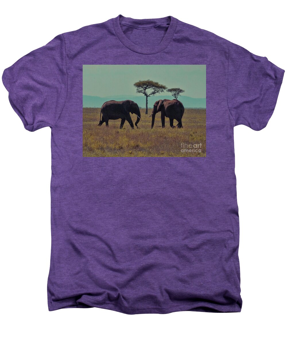 Elephants Men's Premium T-Shirt featuring the photograph Family by Karen Lewis