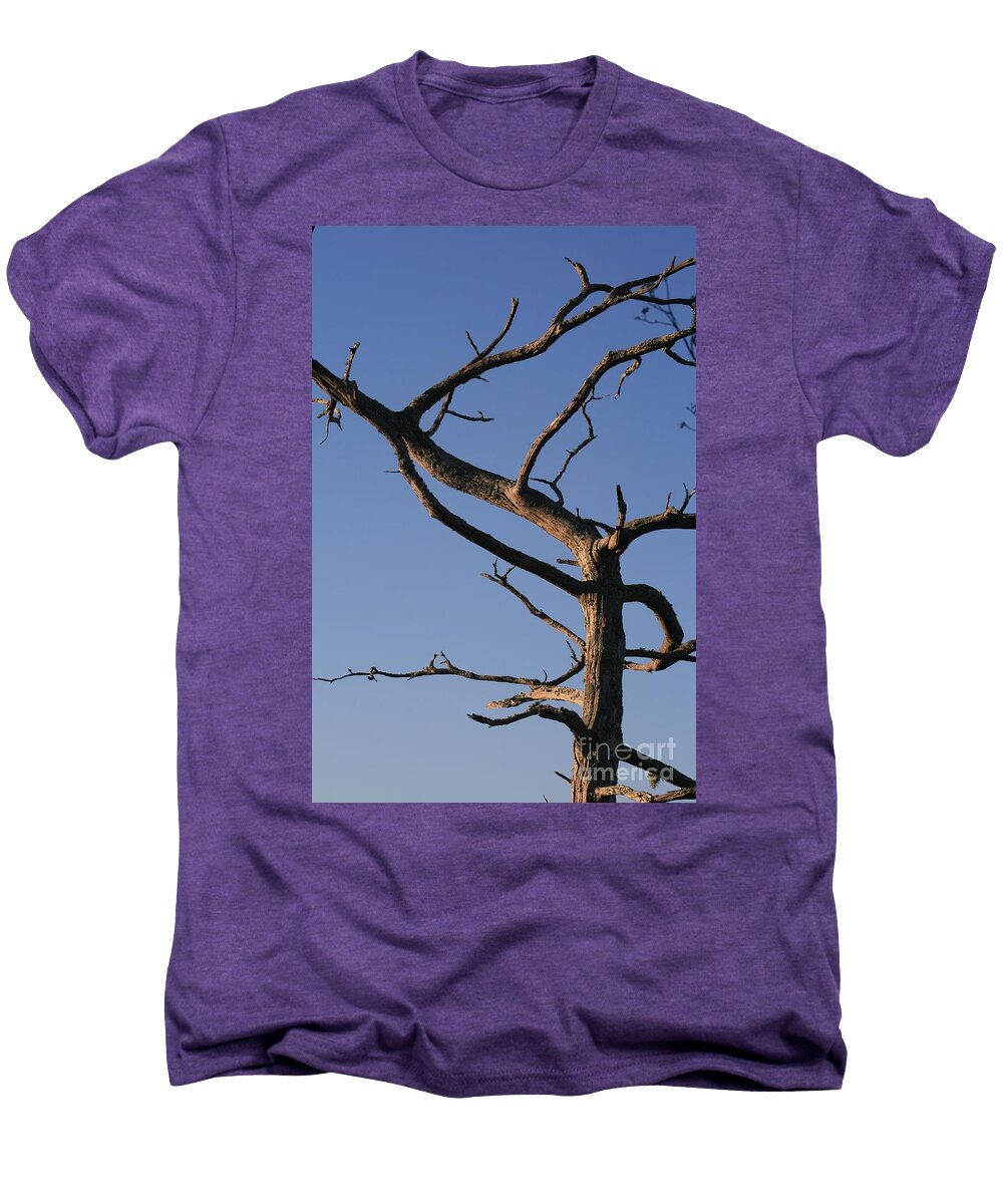Tree Men's Premium T-Shirt featuring the photograph Gnarly Tree by Nadine Rippelmeyer
