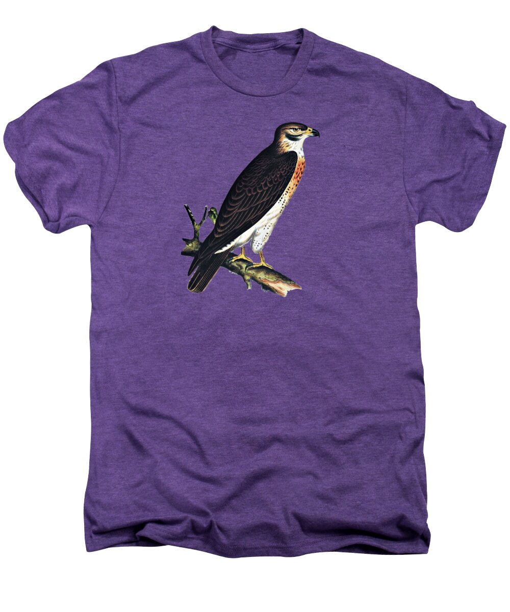 Hawk Men's Premium T-Shirt featuring the photograph Hawk Swainsons Hawk by Movie Poster Prints