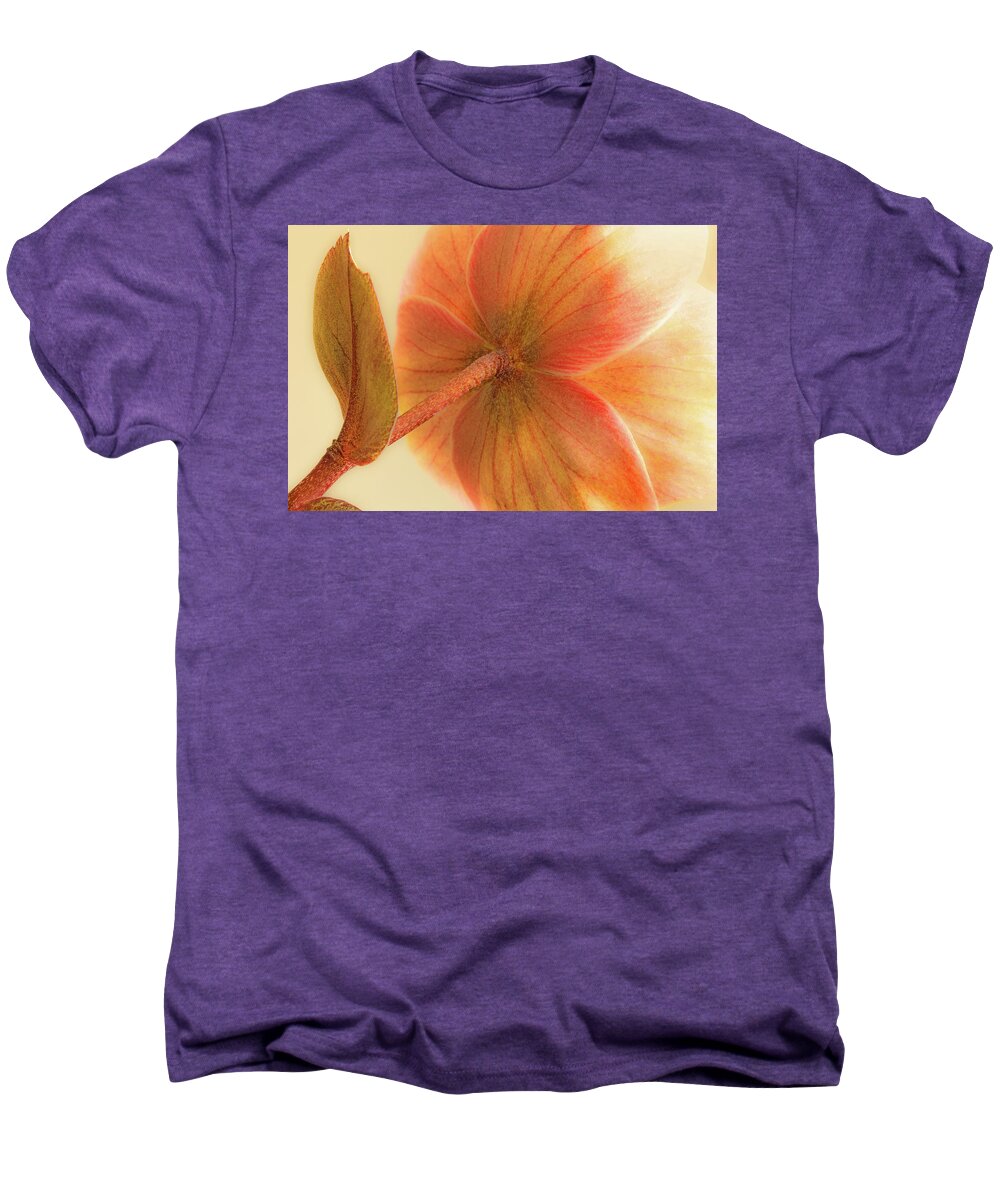 Flower Men's Premium T-Shirt featuring the photograph Hellebore by Bob Cournoyer