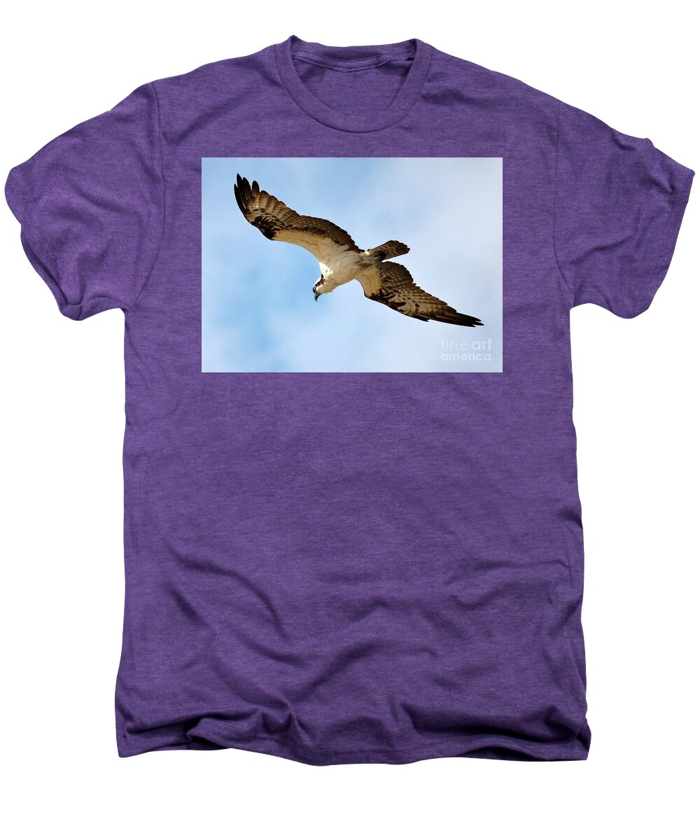 Osprey Men's Premium T-Shirt featuring the photograph Hunter Osprey by Carol Groenen