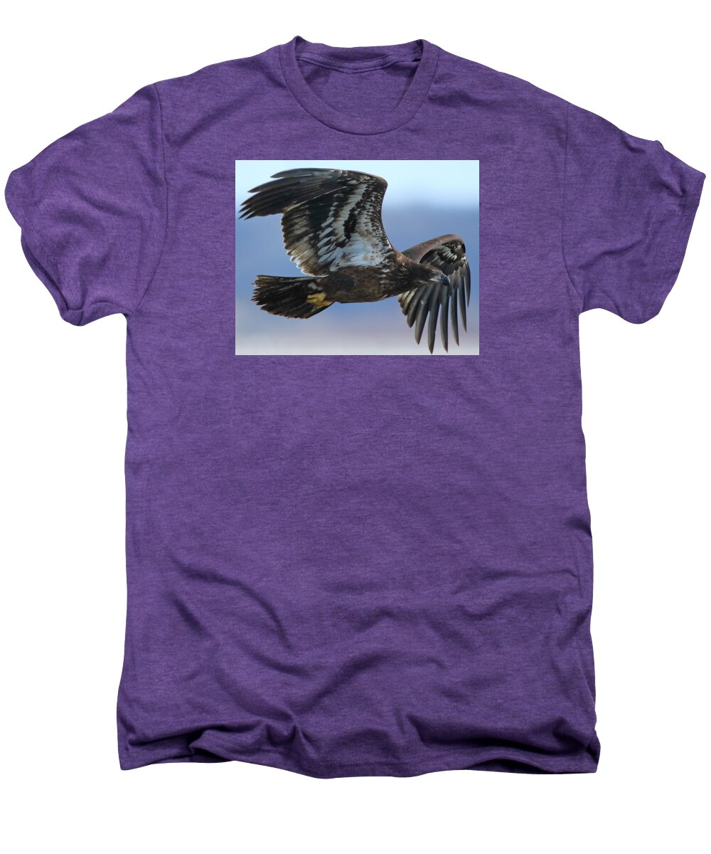 American Bald Eagle Men's Premium T-Shirt featuring the photograph Juvenile Bald Eagle by Coby Cooper
