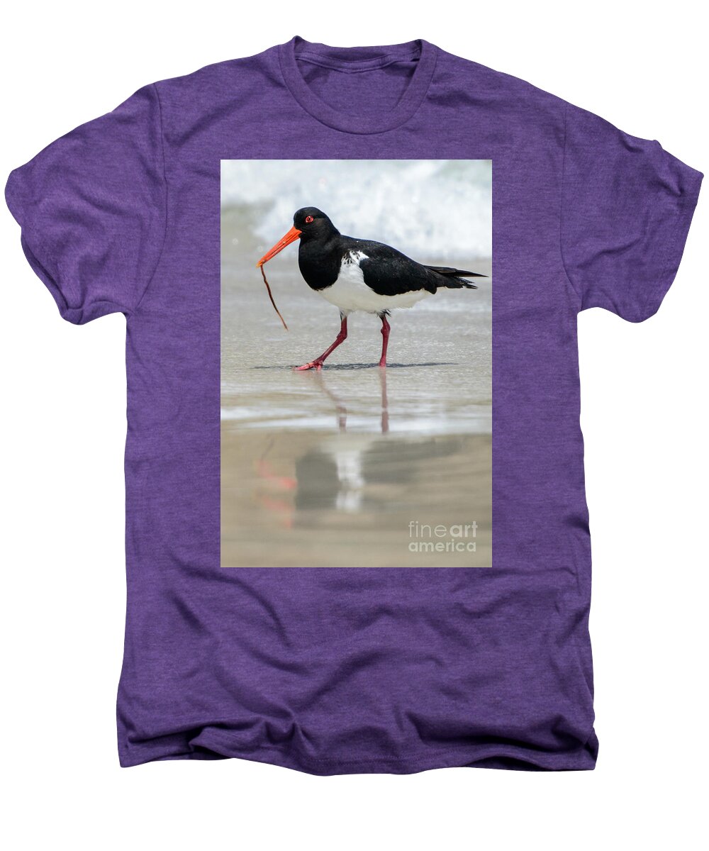 National Park Men's Premium T-Shirt featuring the photograph Oystercatcher 03 by Werner Padarin
