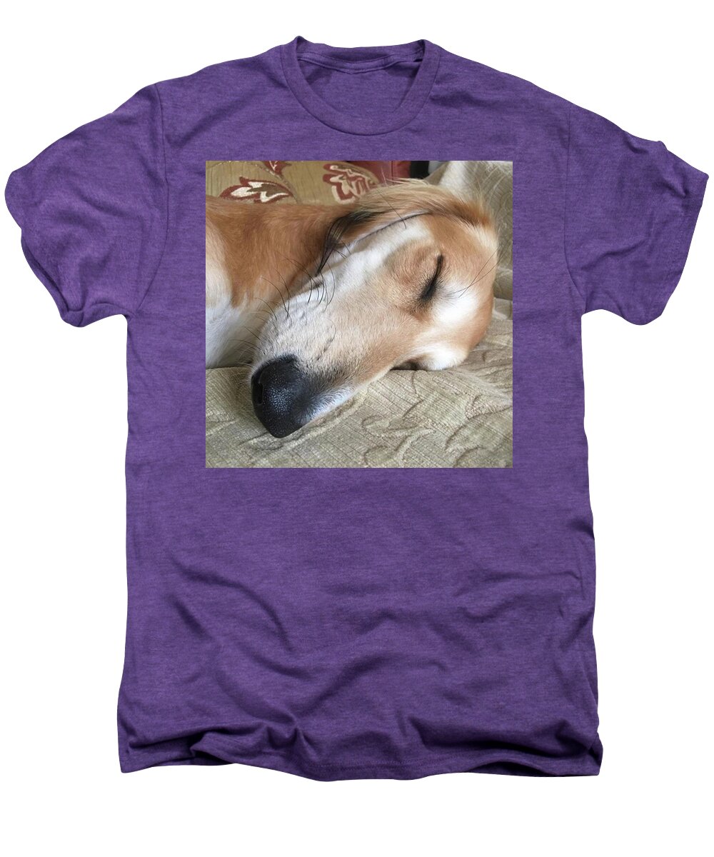 Persiangreyhound Men's Premium T-Shirt featuring the photograph Please Be Quiet. Saluki by John Edwards
