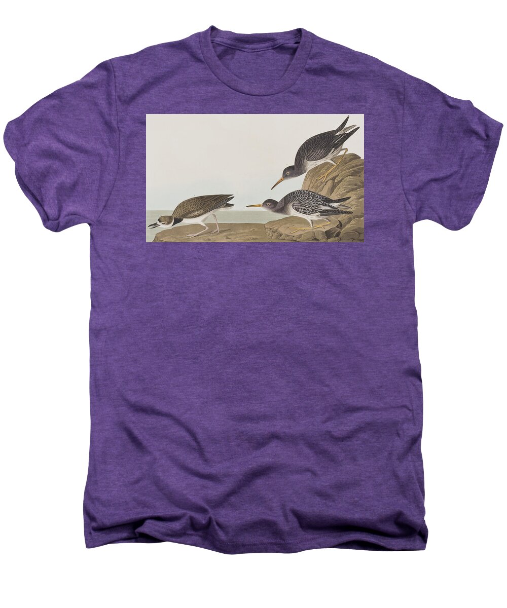 Sandpiper Men's Premium T-Shirt featuring the painting Purple Sandpiper by John James Audubon