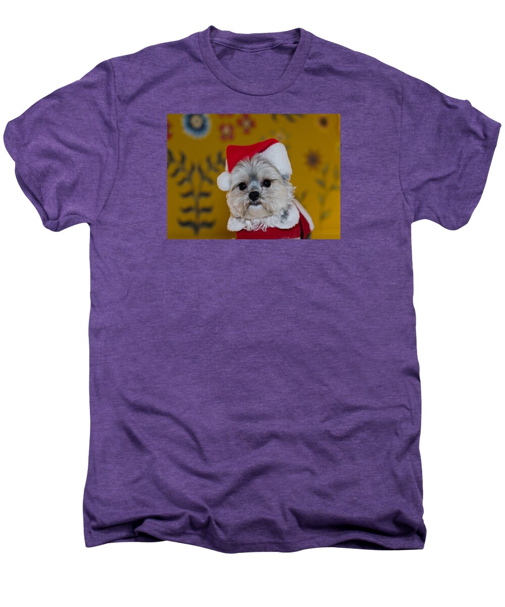 Dog Photography Men's Premium T-Shirt featuring the photograph Riki by Irina ArchAngelSkaya