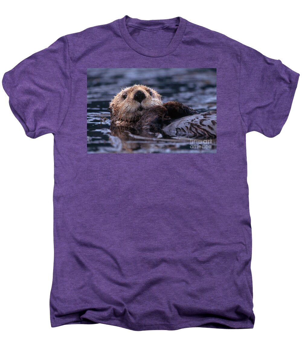 Sea Otter Men's Premium T-Shirt featuring the photograph Sea Otter by Yva Momatiuk and John Eastcott and Photo Researchers