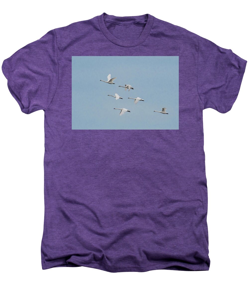 Nature Men's Premium T-Shirt featuring the photograph Whistling Swan in Flight by Donald Brown