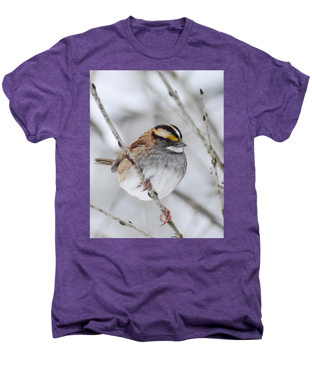 White-throated Sparrow Men's Premium T-Shirt featuring the photograph White throated Sparrow by Michael Peychich