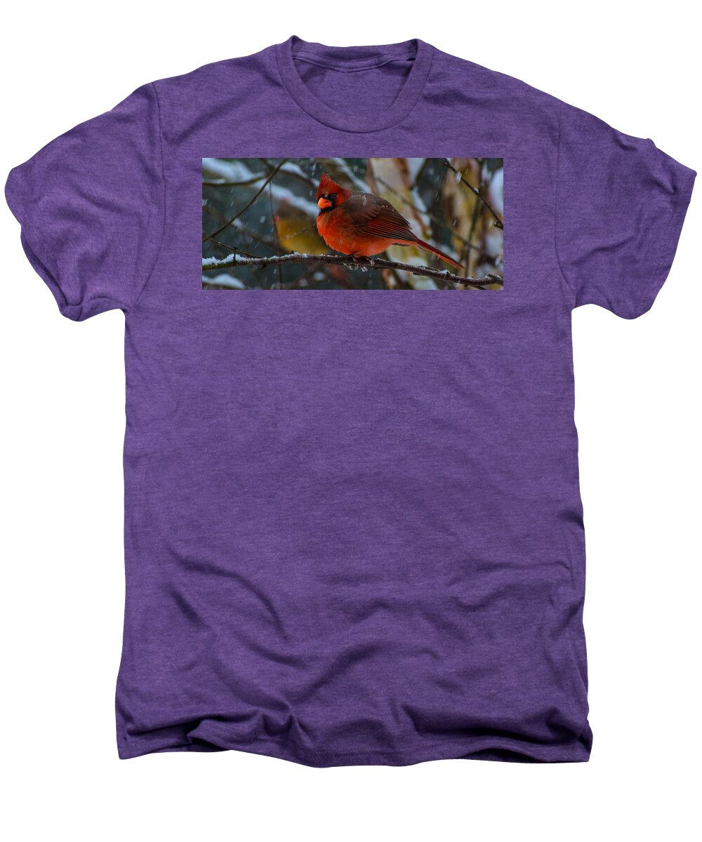 Winter Twosome Framed Prints Men's Premium T-Shirt featuring the photograph Winter Twosome by John Harding