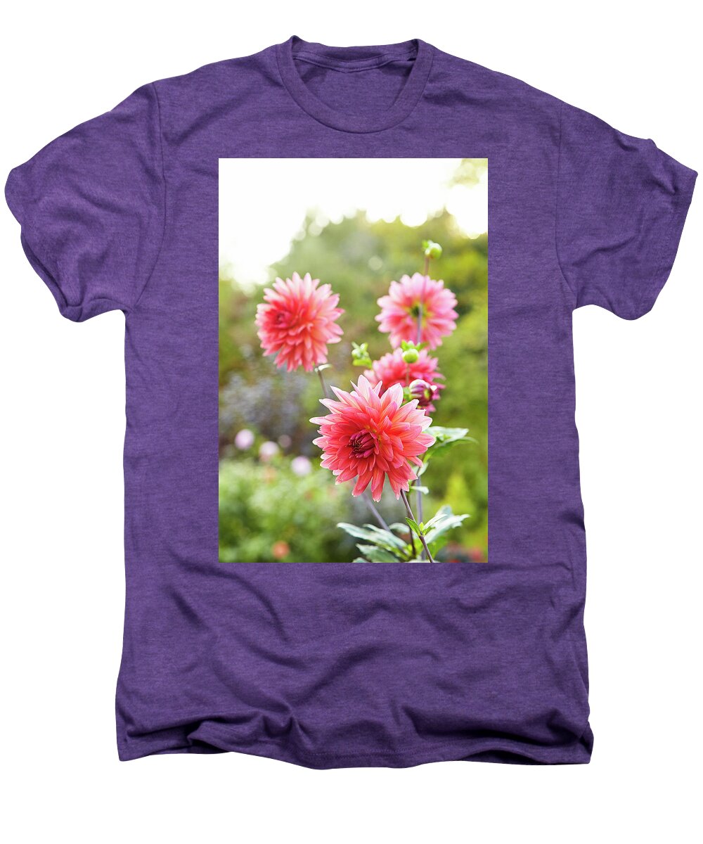 Garden Men's Premium T-Shirt featuring the photograph Dahlia dance by Garden Gate magazine