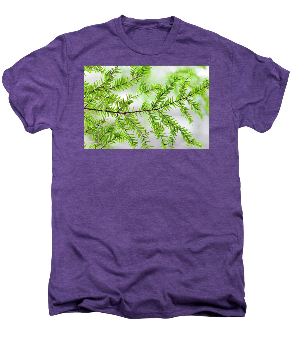 Tree Men's Premium T-Shirt featuring the photograph Evergreen Abstract by Christina Rollo