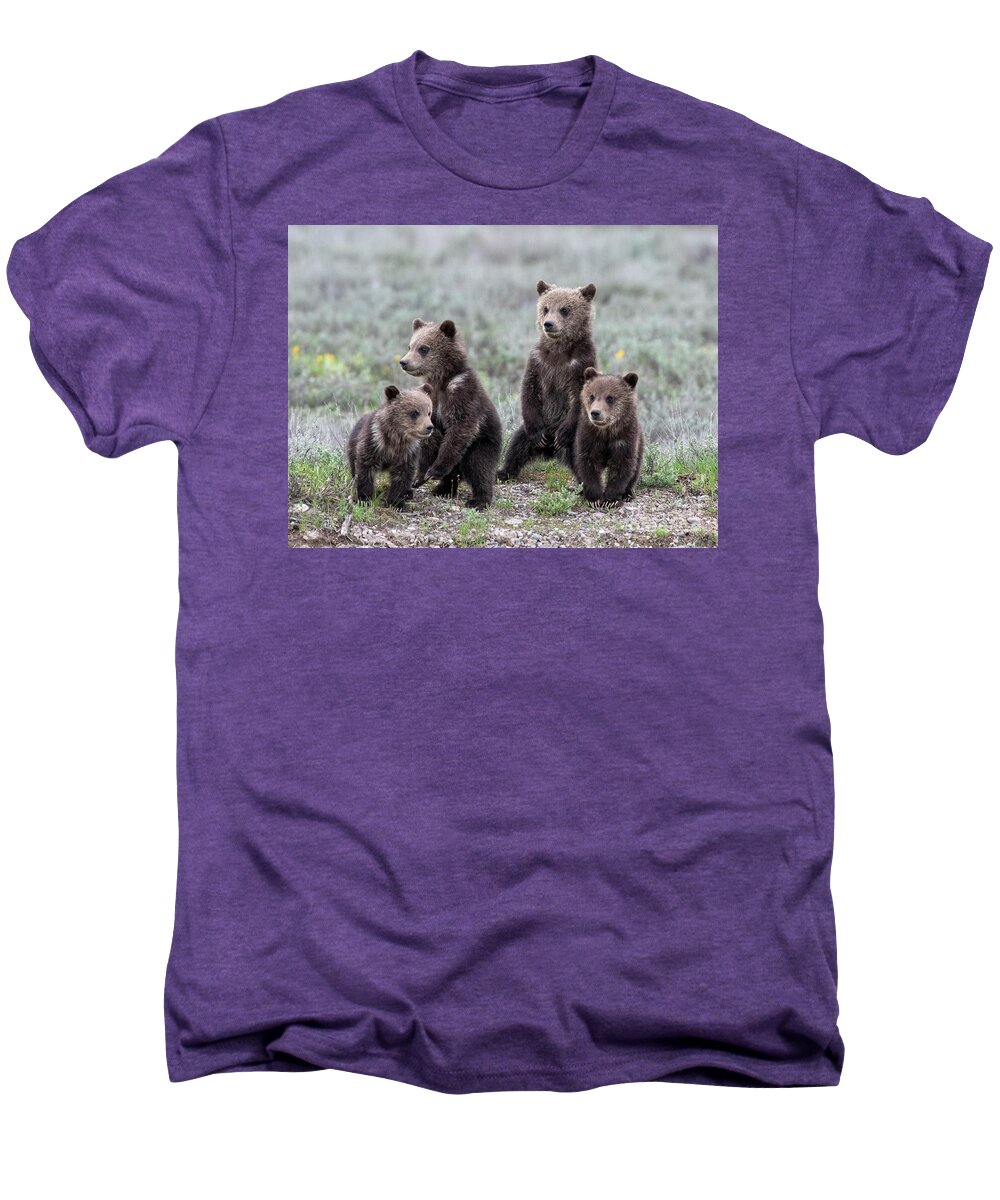 Grizzly Cubs Men's Premium T-Shirt featuring the photograph The Quads by Deby Dixon