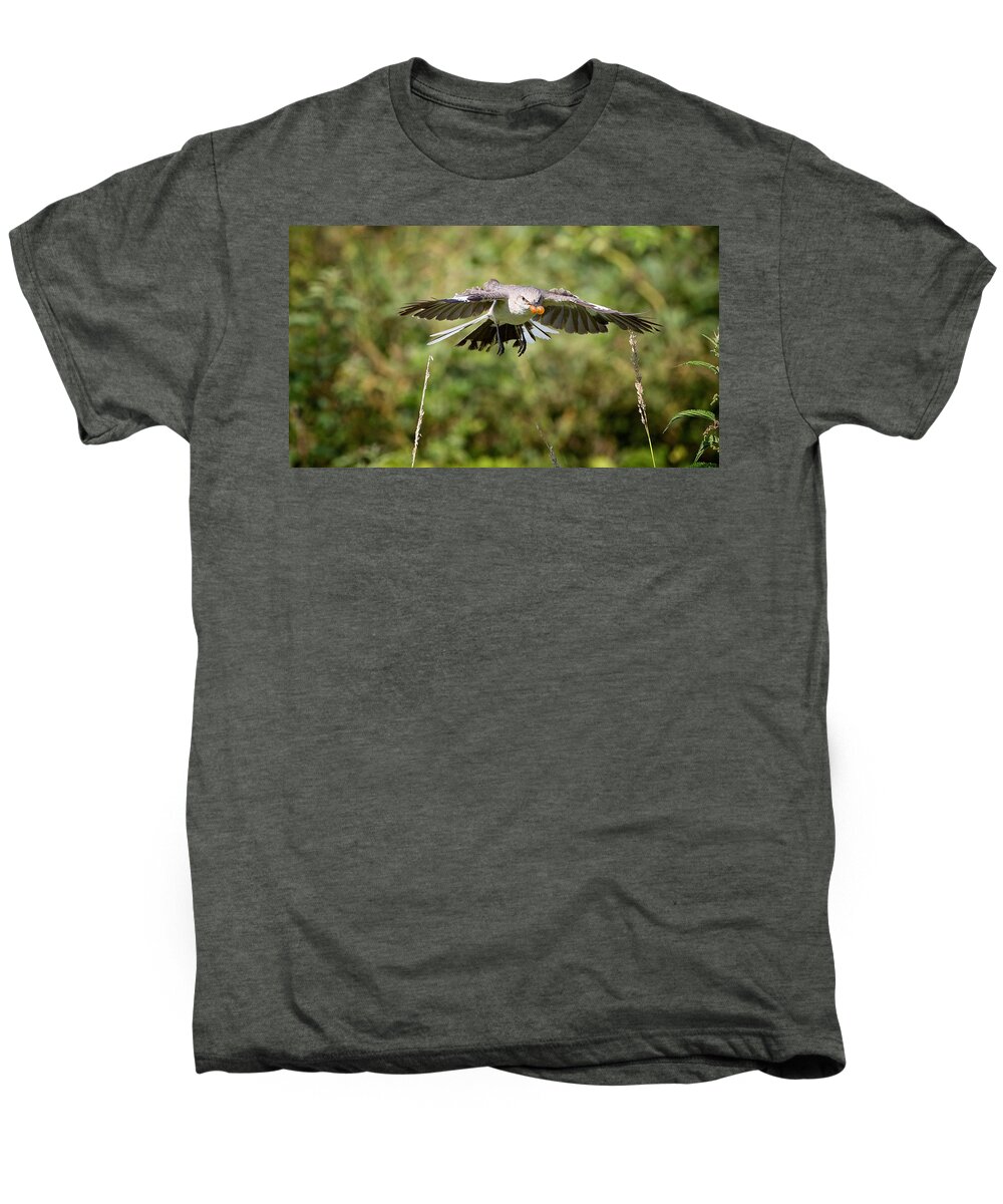 Mockingbird Men's Premium T-Shirt featuring the photograph Mockingbird In Flight by Bill Wakeley