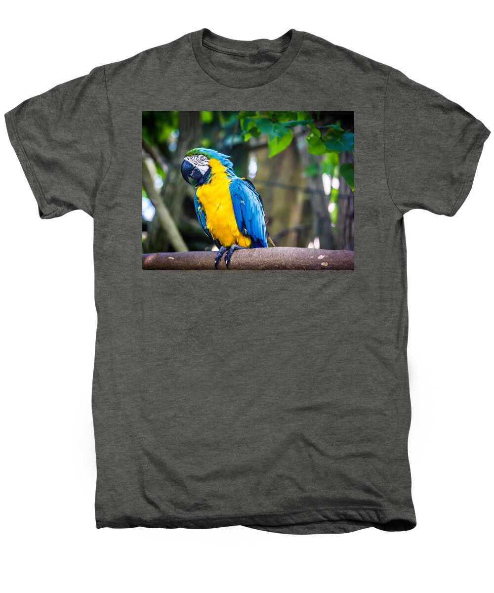 Bird Men's Premium T-Shirt featuring the photograph Tropical Parrot by Sara Frank
