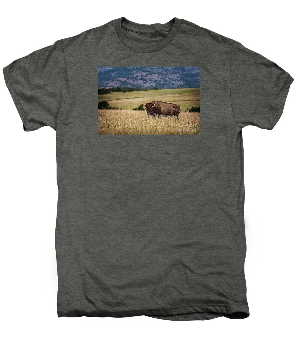 Buffalo Men's Premium T-Shirt featuring the photograph The Days End by Tamyra Ayles