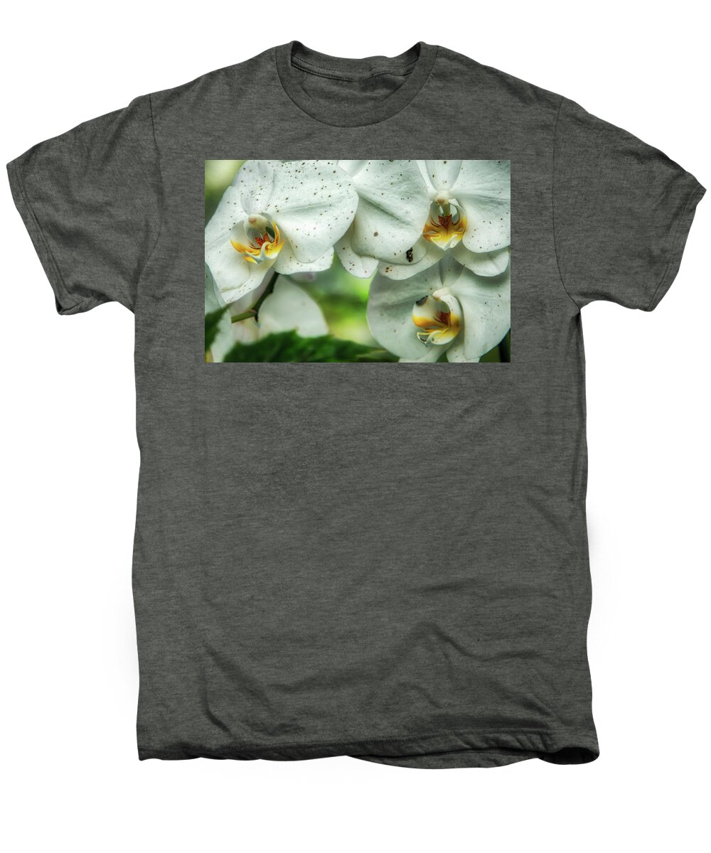 Hdr Men's Premium T-Shirt featuring the photograph Toronto Orchids by Ross Henton