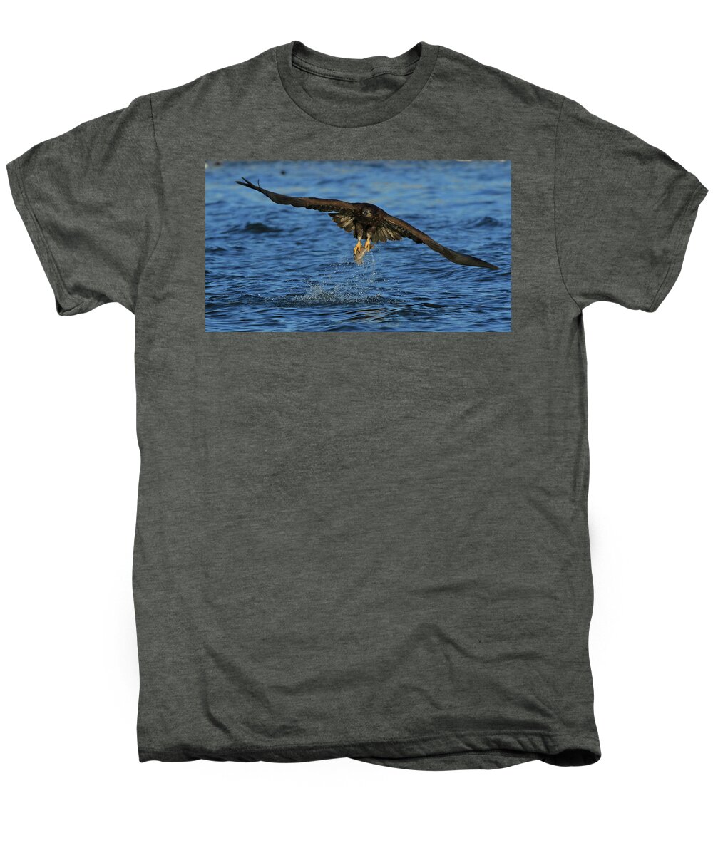Eagle Men's Premium T-Shirt featuring the photograph Young Bald Eagle catching fish by Coby Cooper