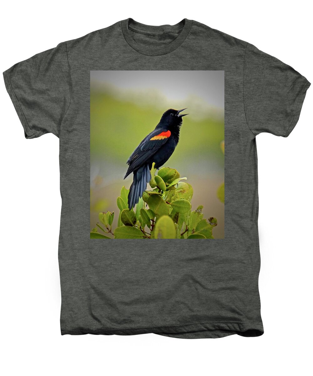 Red-winged Blackbird Men's Premium T-Shirt featuring the photograph Red-Winged Blackbird by Carol Bradley