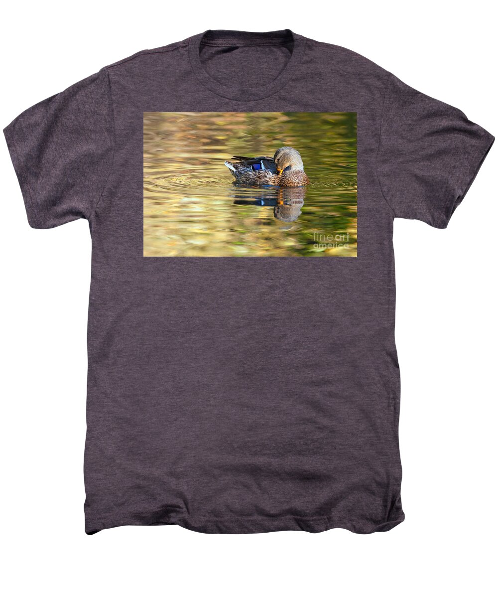 Mallard Men's Premium T-Shirt featuring the photograph A Touch of Blue - Mallard Santa Monica Mountains California by Ram Vasudev