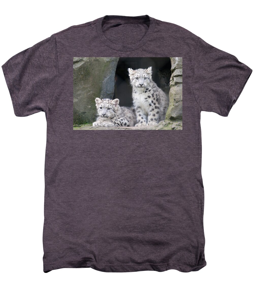 Animal Men's Premium T-Shirt featuring the photograph Snow Leopard Cubs by Chris Boulton