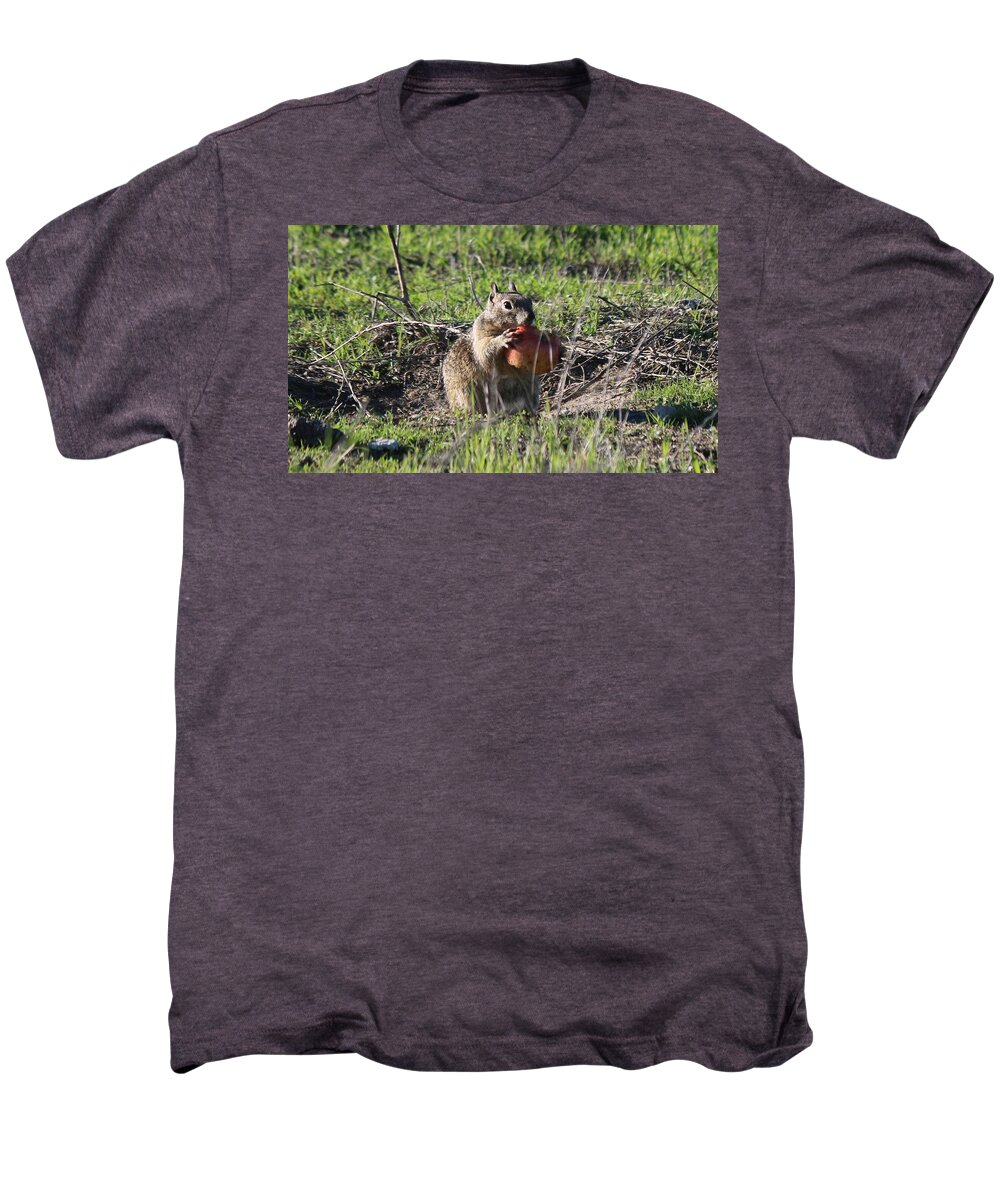 Squirrel Men's Premium T-Shirt featuring the photograph An Apple A Day - 2 by Christy Pooschke