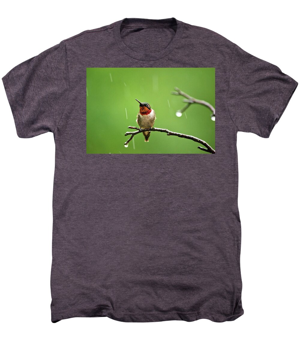 Hummingbird Men's Premium T-Shirt featuring the photograph Another Rainy Day Hummingbird by Christina Rollo