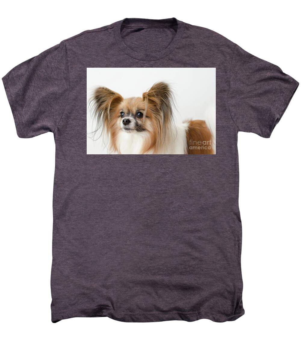 Papillon Dog Photograph Men's Premium T-Shirt featuring the photograph Bunny by Irina ArchAngelSkaya