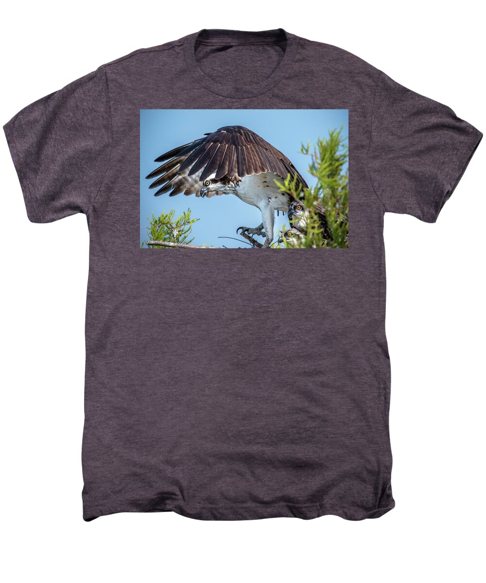 Nature Men's Premium T-Shirt featuring the photograph Daddy Osprey on Guard by Donald Brown