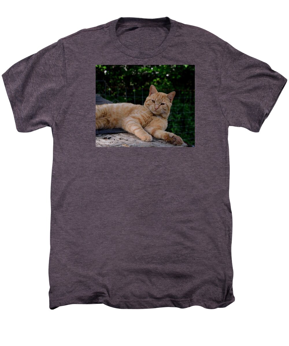 Cat Men's Premium T-Shirt featuring the photograph Franklin by Karen Harrison Brown