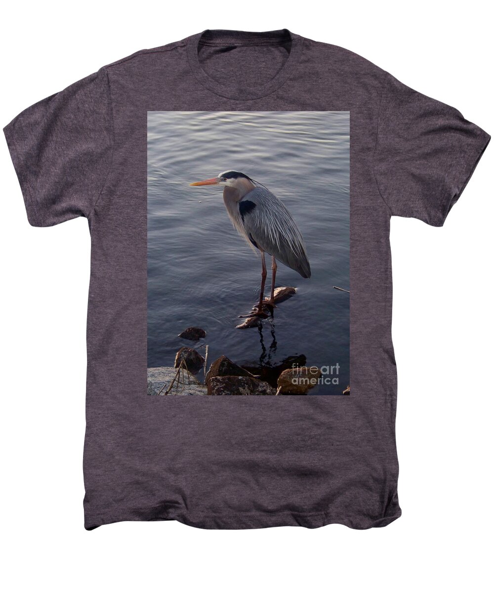 Heron Men's Premium T-Shirt featuring the photograph Great Blue Heron at Evening by Carol Bradley