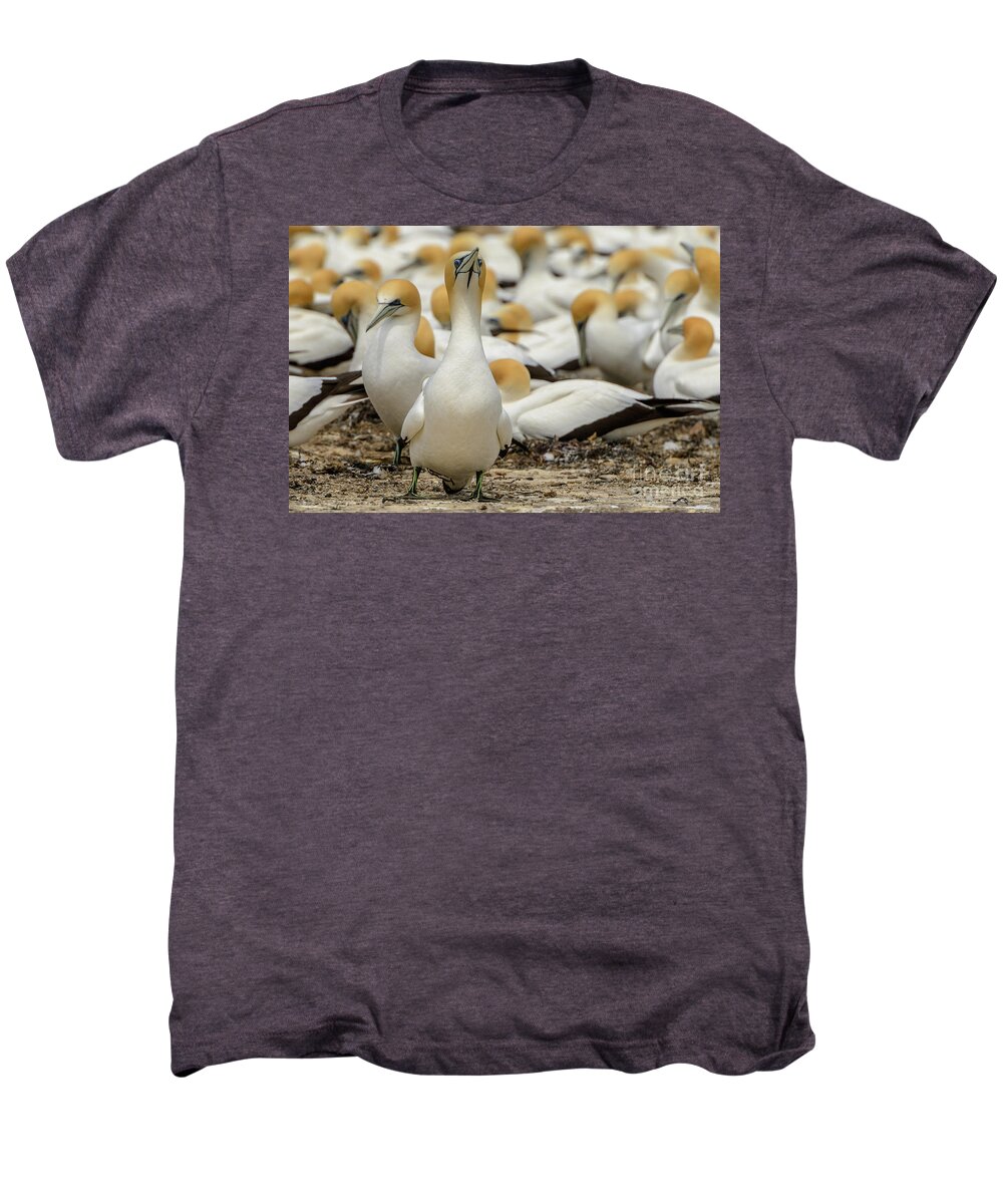 Bird Men's Premium T-Shirt featuring the photograph On Guard by Werner Padarin