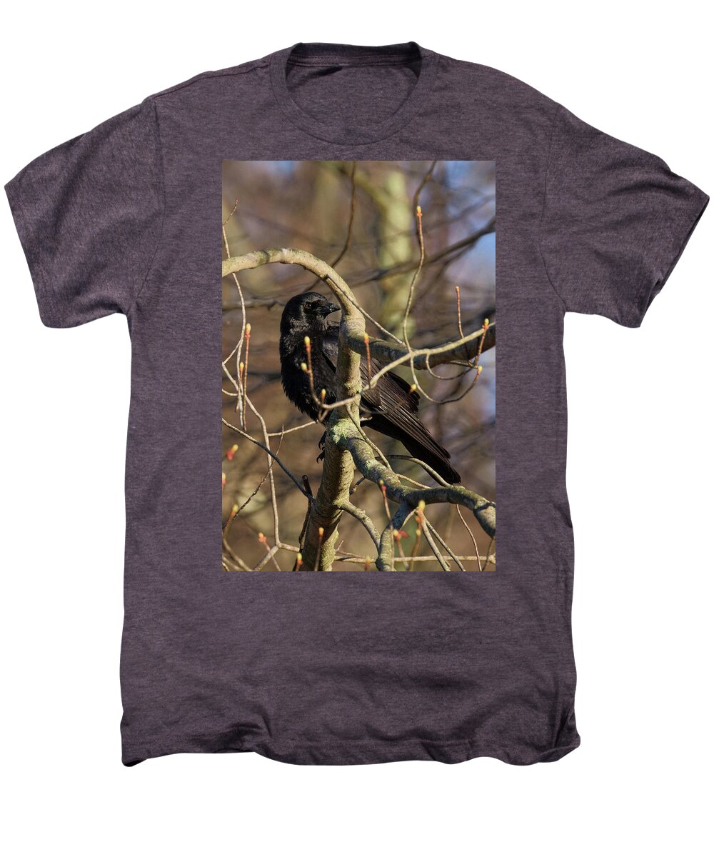 Crow Men's Premium T-Shirt featuring the photograph Springtime Crow by Bill Wakeley