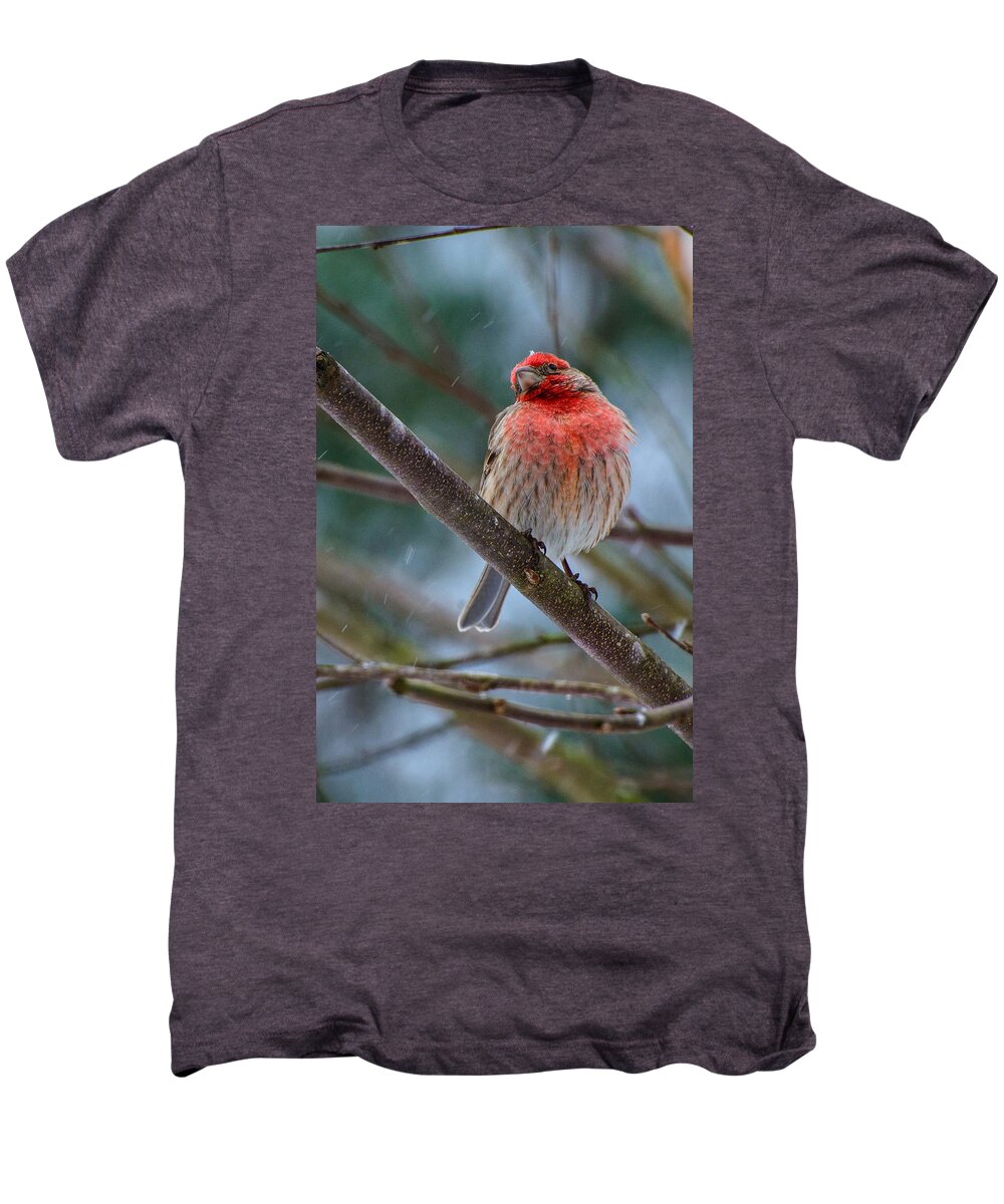 Birds Men's Premium T-Shirt featuring the photograph The Snowflake #1 by John Harding
