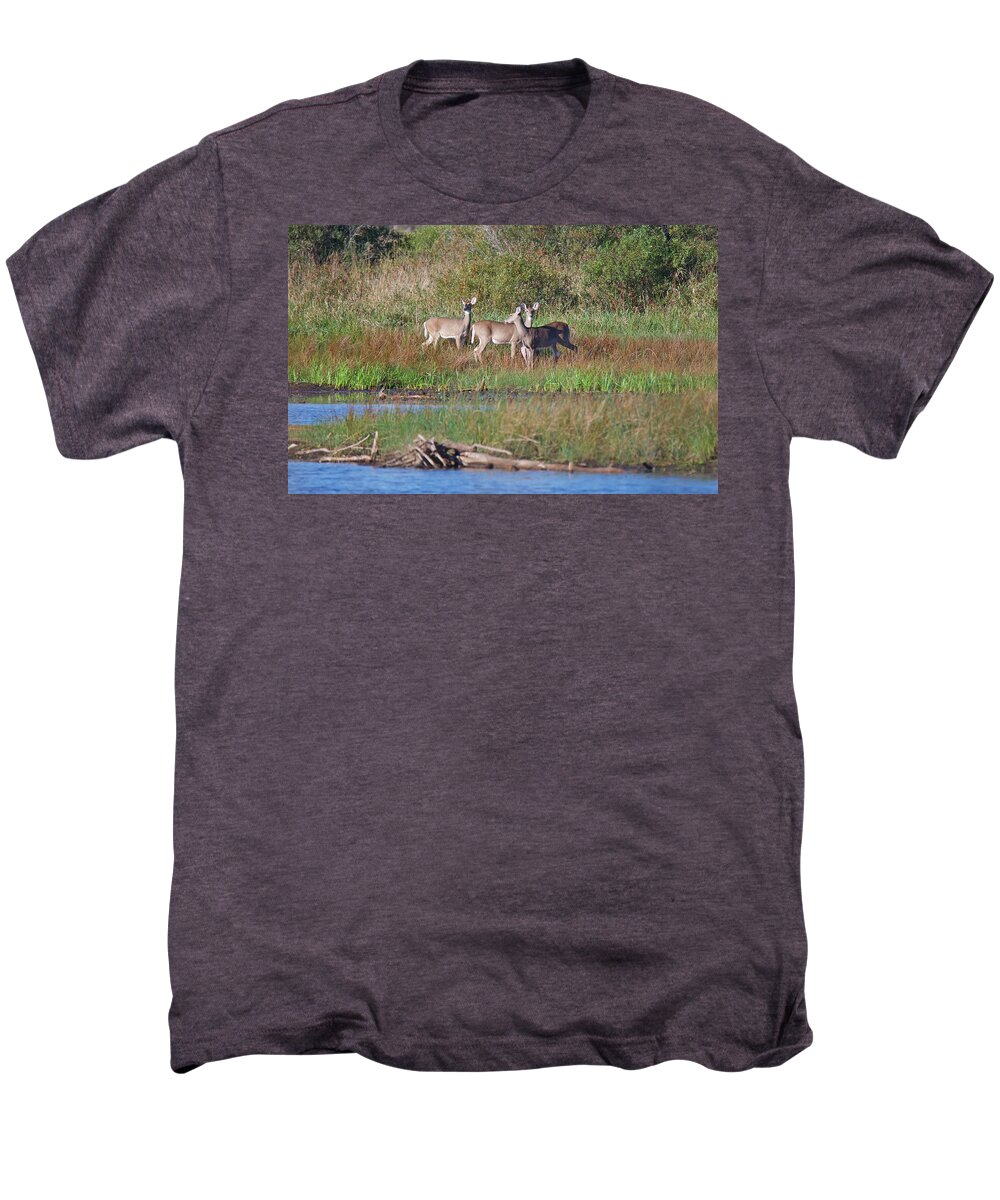 Deer Men's Premium T-Shirt featuring the photograph Deer at Tuttle Marsh 8033 by Michael Peychich