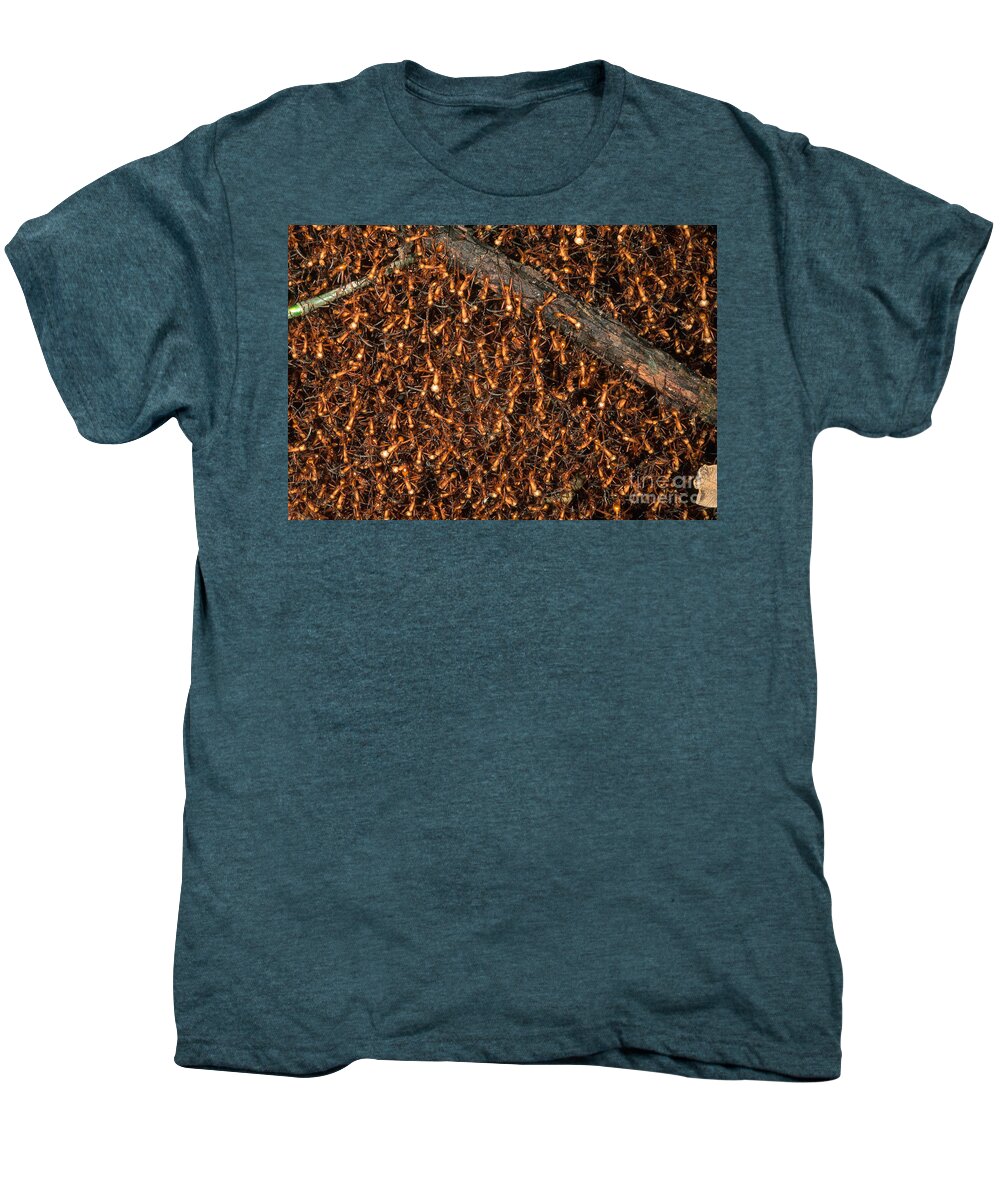 Army Ant Men's Premium T-Shirt featuring the photograph Army Ant Bivouac Site #2 by Gregory G. Dimijian, M.D.