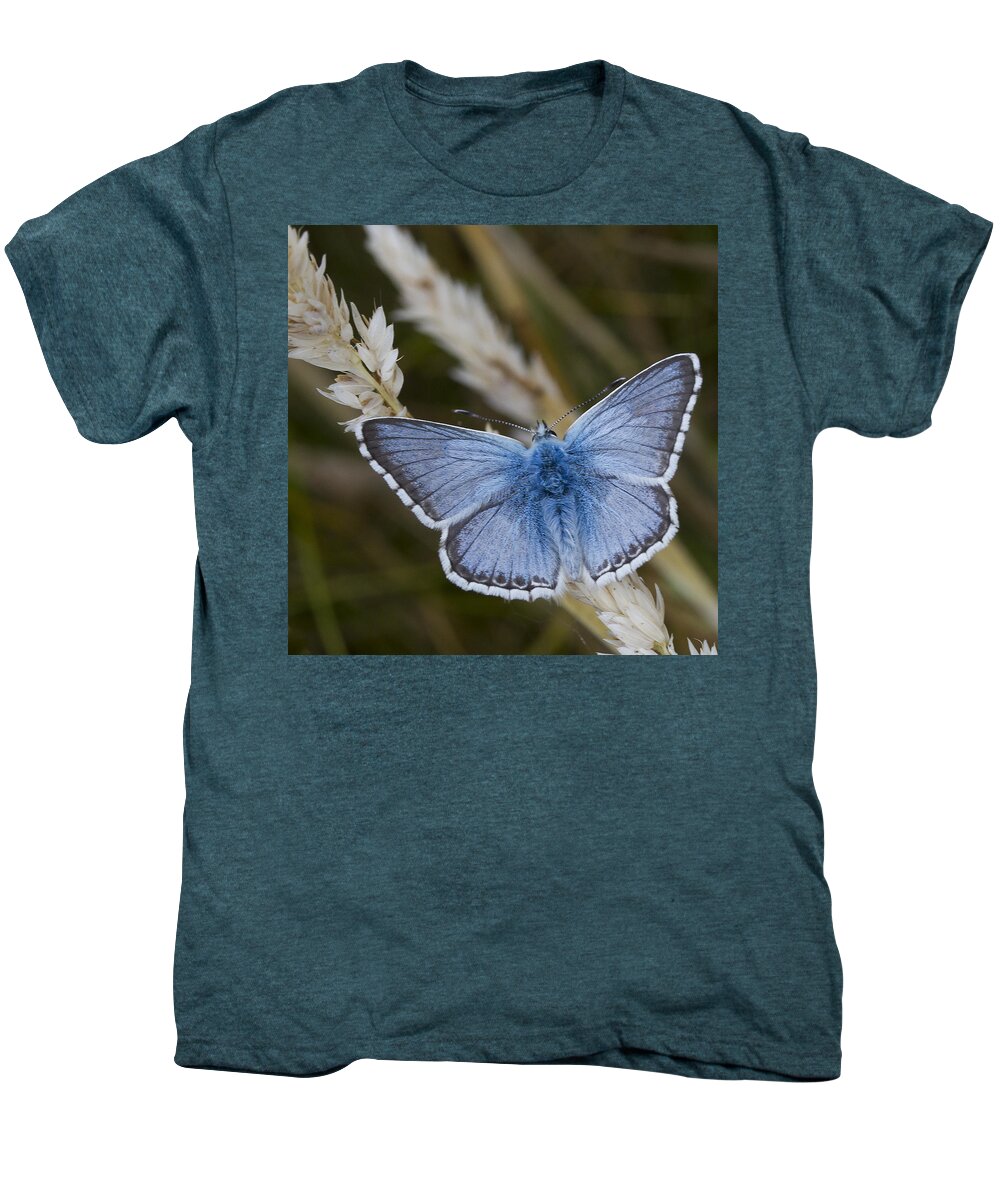 Common Men's Premium T-Shirt featuring the photograph Common Blue Butterfly #2 by Shirley Mitchell