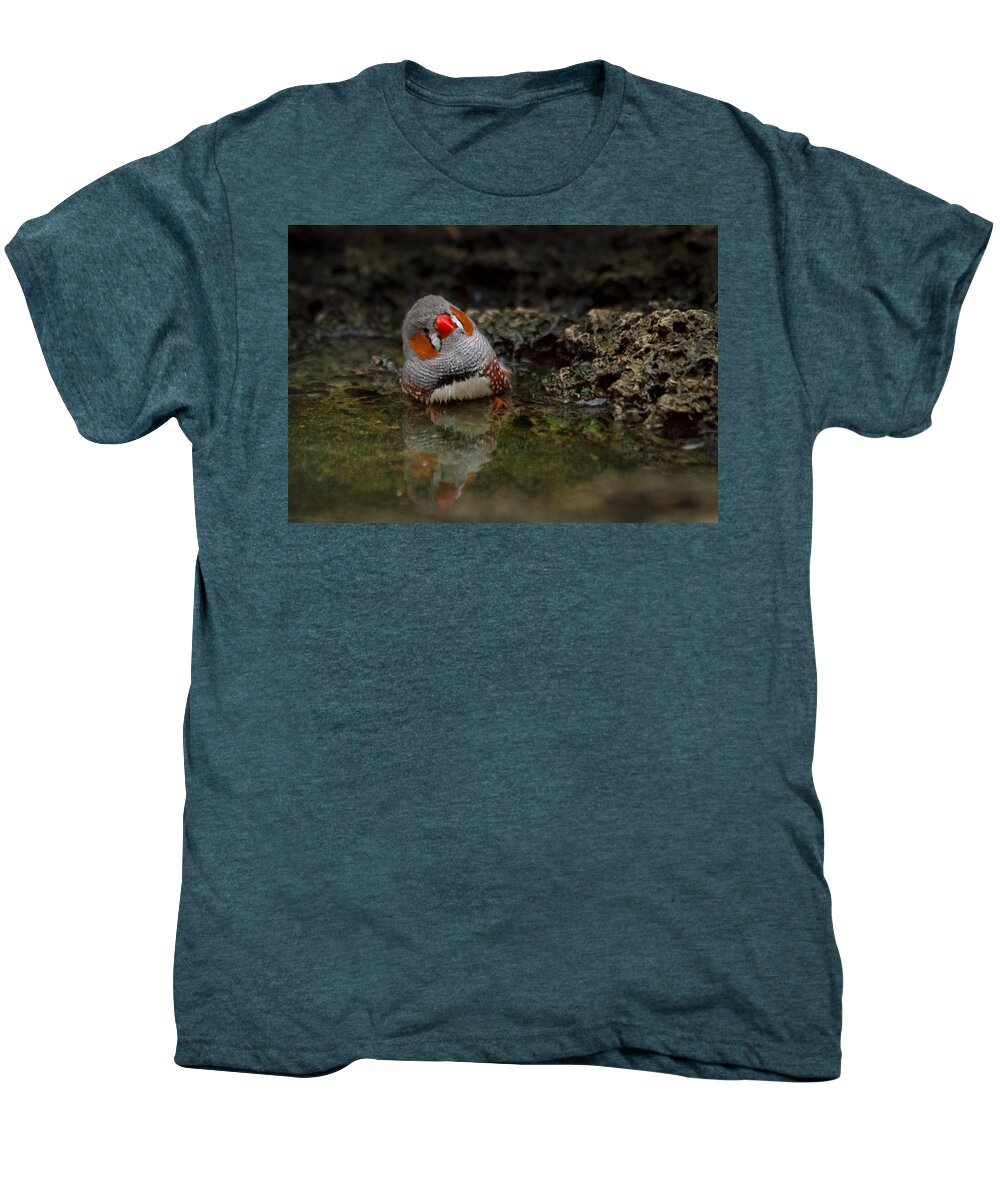 Finch Men's Premium T-Shirt featuring the photograph Adorable zebra finch taking a bath by Eti Reid